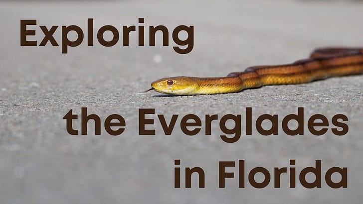 Our Solar Electric Trailer Journey