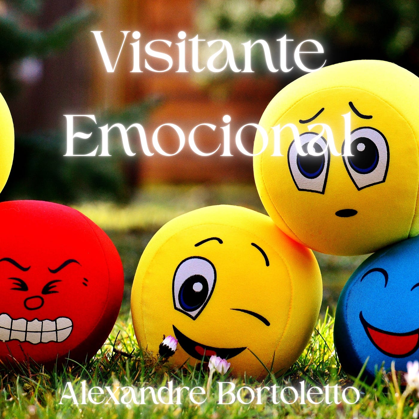 Consciência em Conversa