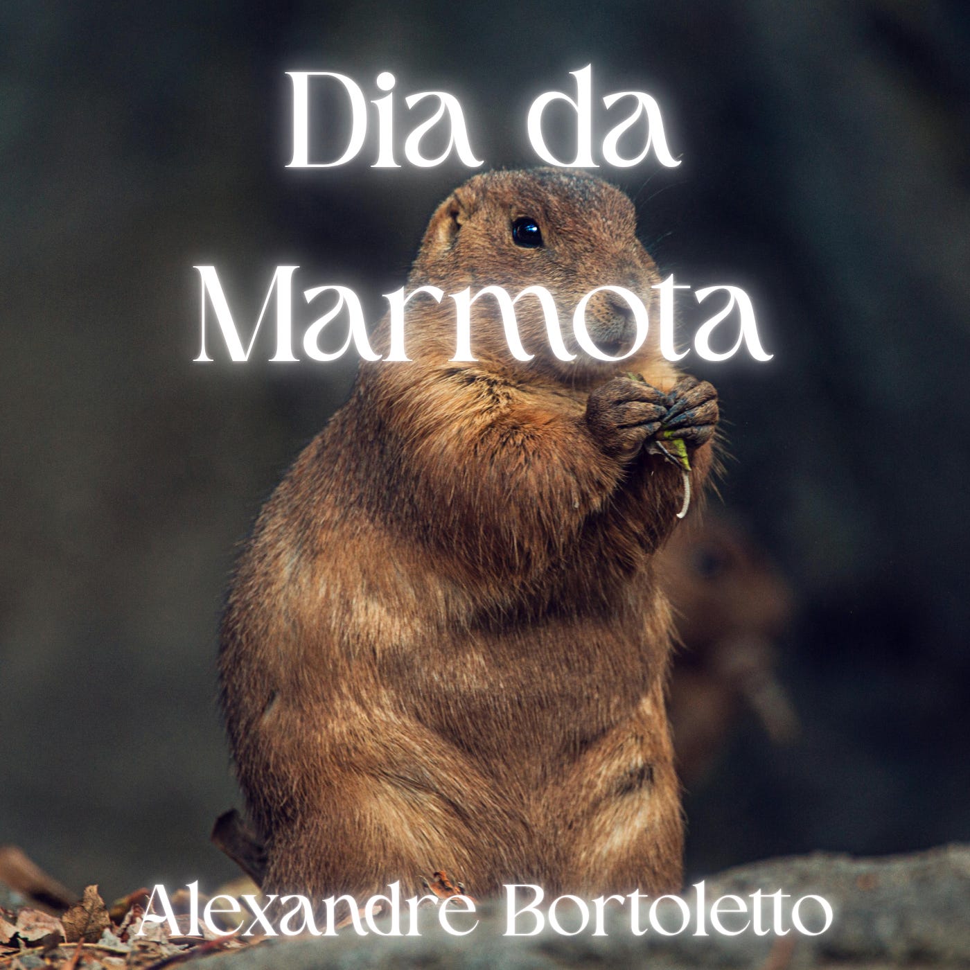 Consciência em Conversa