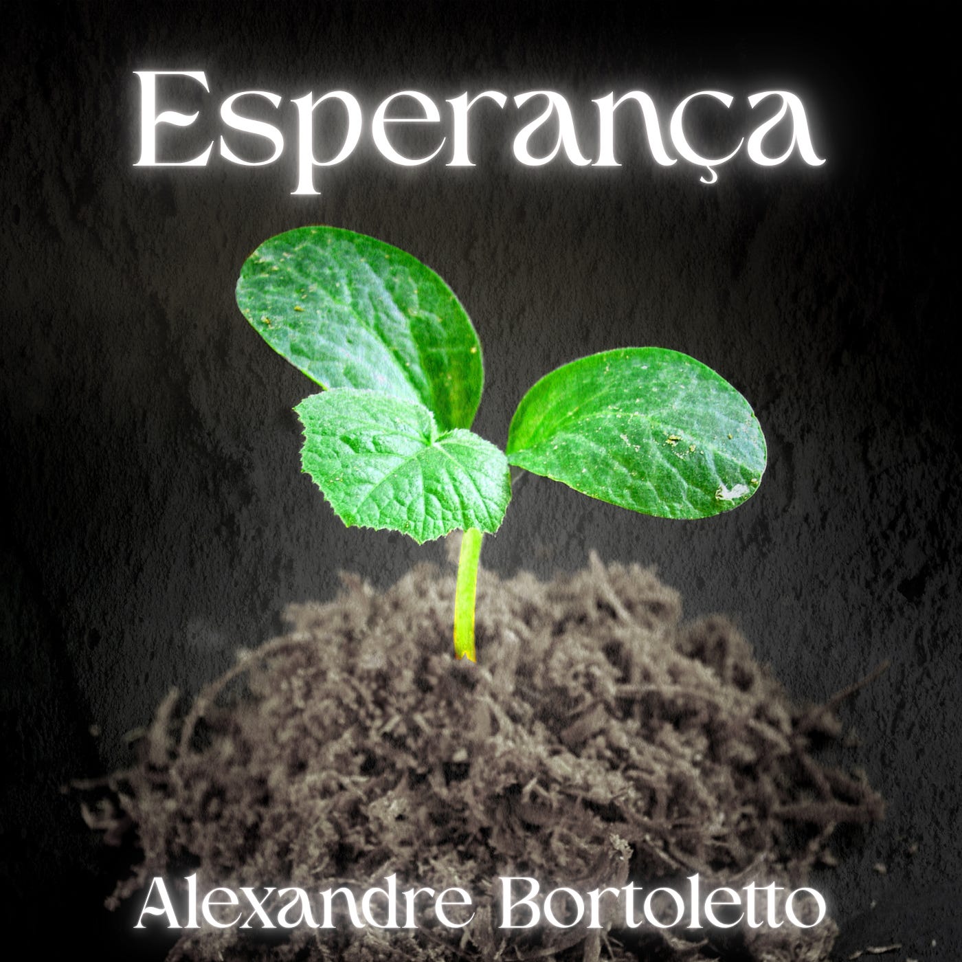 Consciência em Conversa