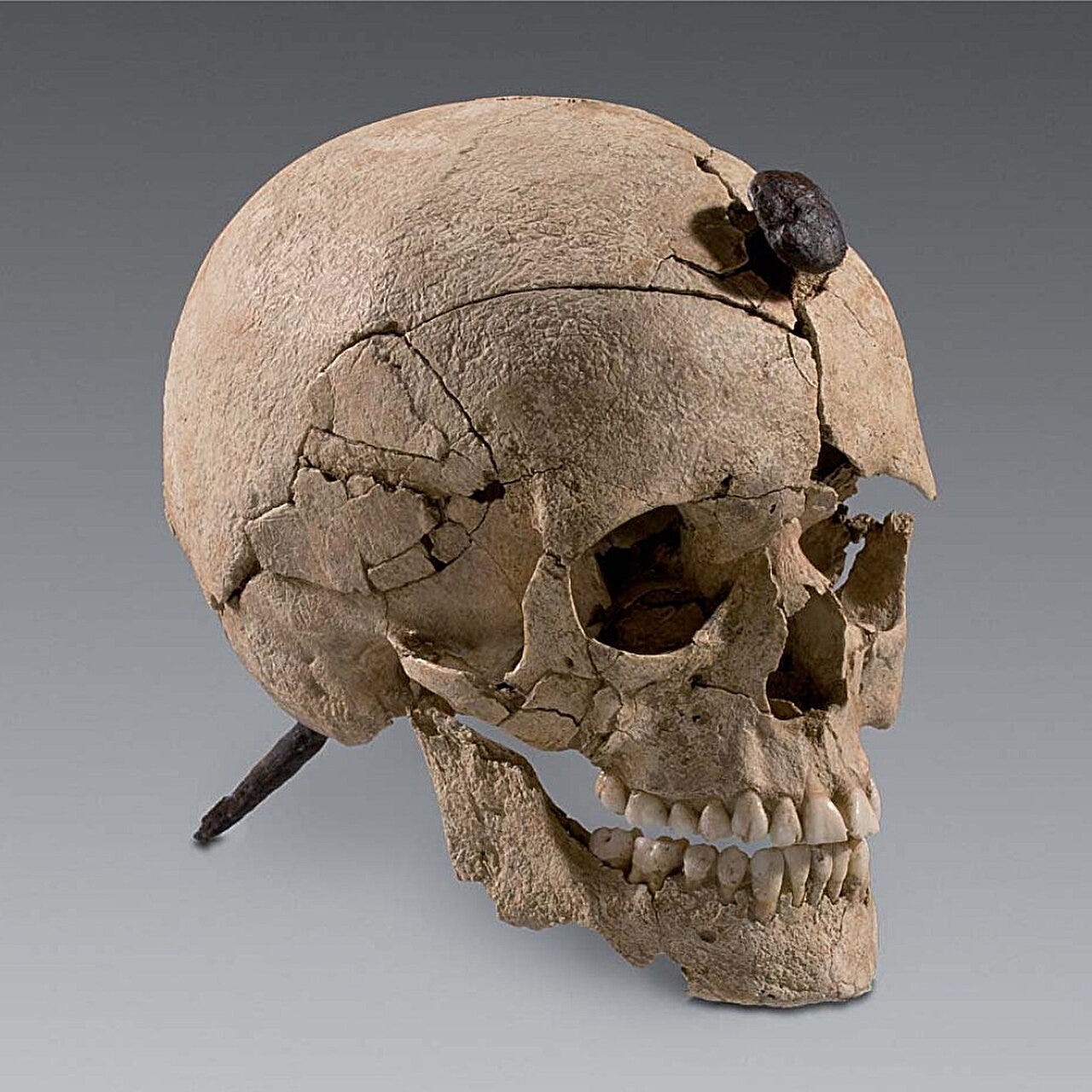 Skulls, Strontium, and Secrets: Unraveling the Rituals of Iron Age Iberia episode artwork