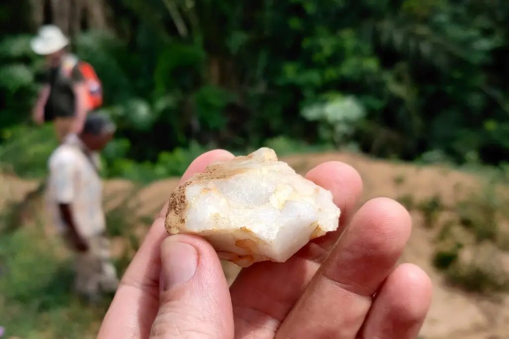 Early Humans in the Heart of the Rainforest: A 150,000-Year-Old Mystery Unfolds episode artwork