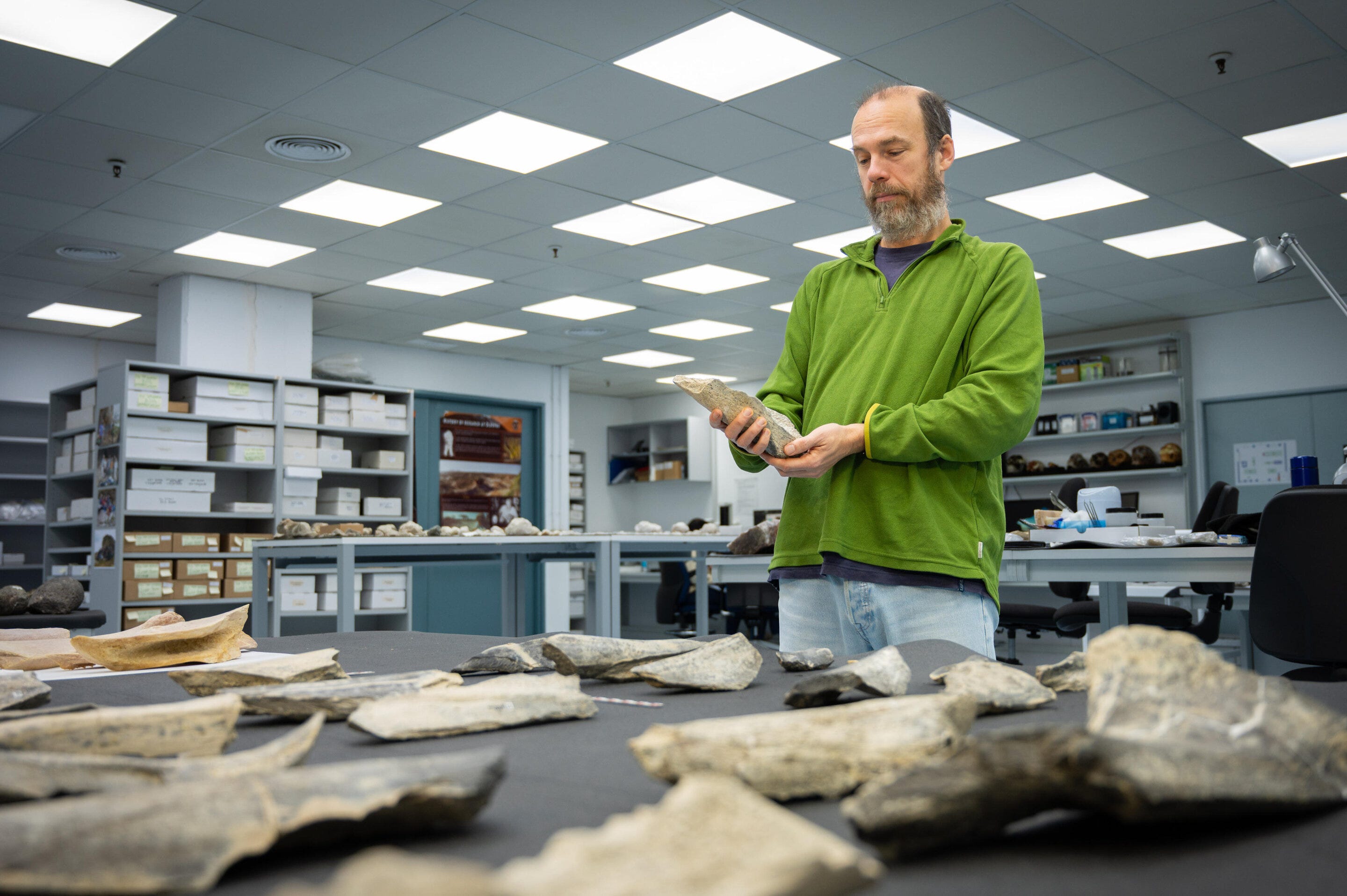 Bones of Innovation: How Early Hominins Pioneered Toolmaking 1.5 Million Years Ago episode artwork