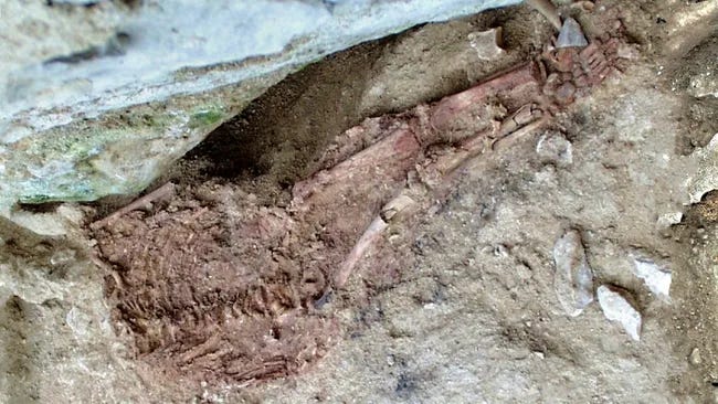 The Lapedo Child: A 28,000-Year-Old Mystery Reshaped by Science episode artwork