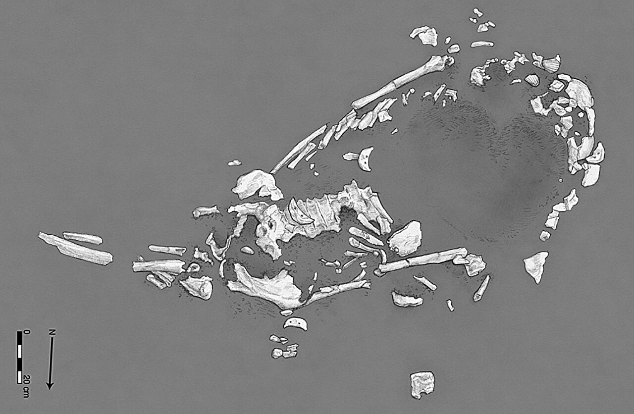 A Mysterious Burial in Ecuador: Tracing the Death and Rituals of a Pregnant Manteño Woman episode artwork