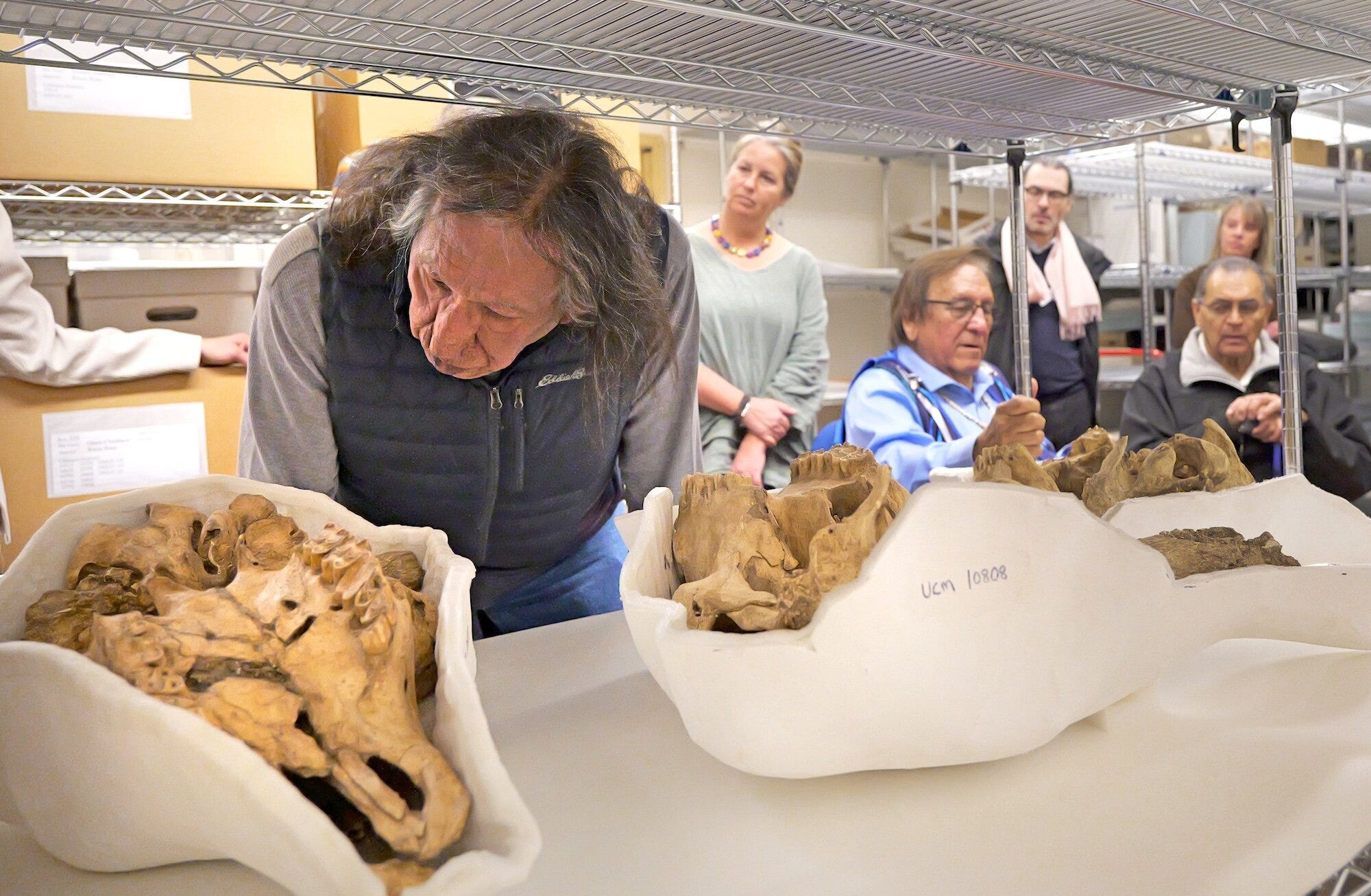 A Call for Respect: Rethinking How Museums Care for Animal Remains episode artwork
