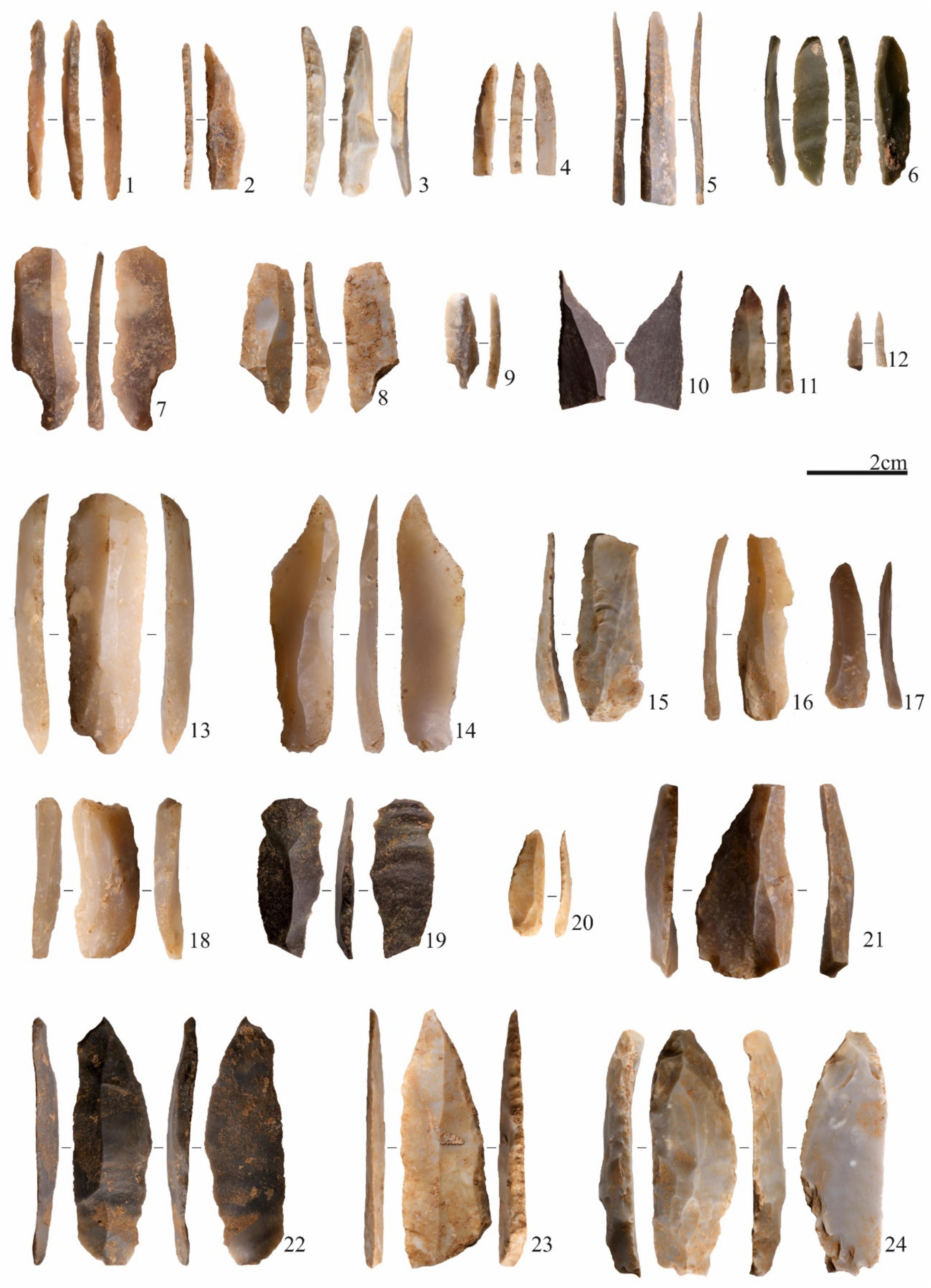 A Window Into the Early Epigravettian: Grotta della Lea and Italy’s Final Ice Age Hunters episode artwork