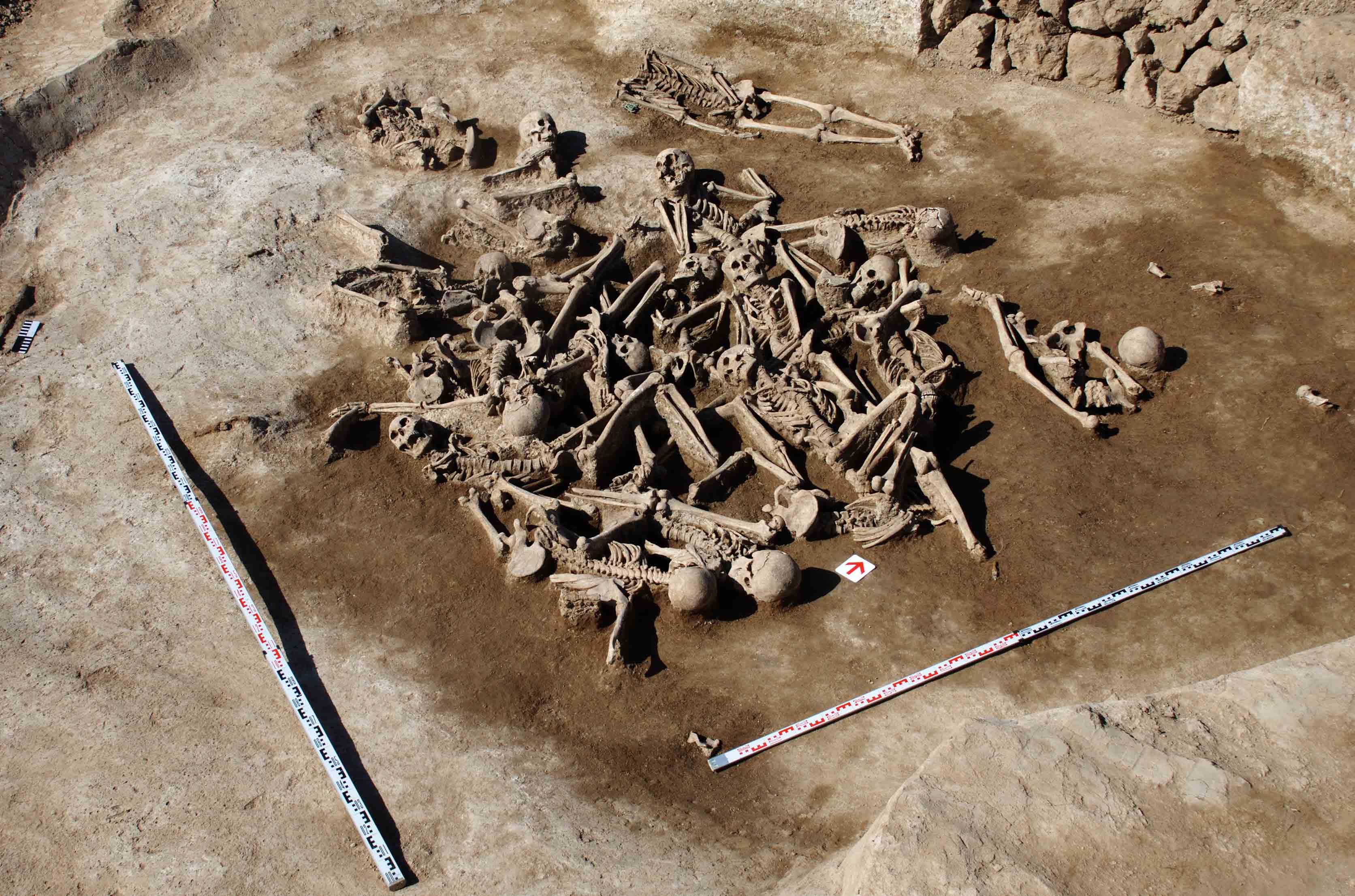 A Massacre at the Edge of an Empire: DNA Identifies Victims of a 2,100-Year-Old Battlefield episode artwork