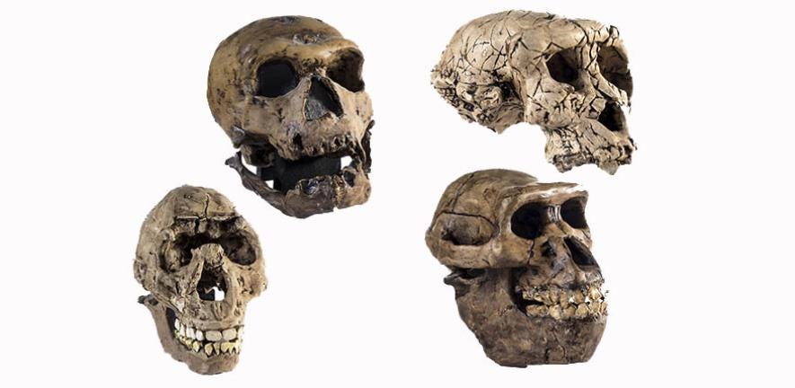 A Forgotten Chapter in Human Evolution: The Hidden Ancestry of Modern Humans episode artwork