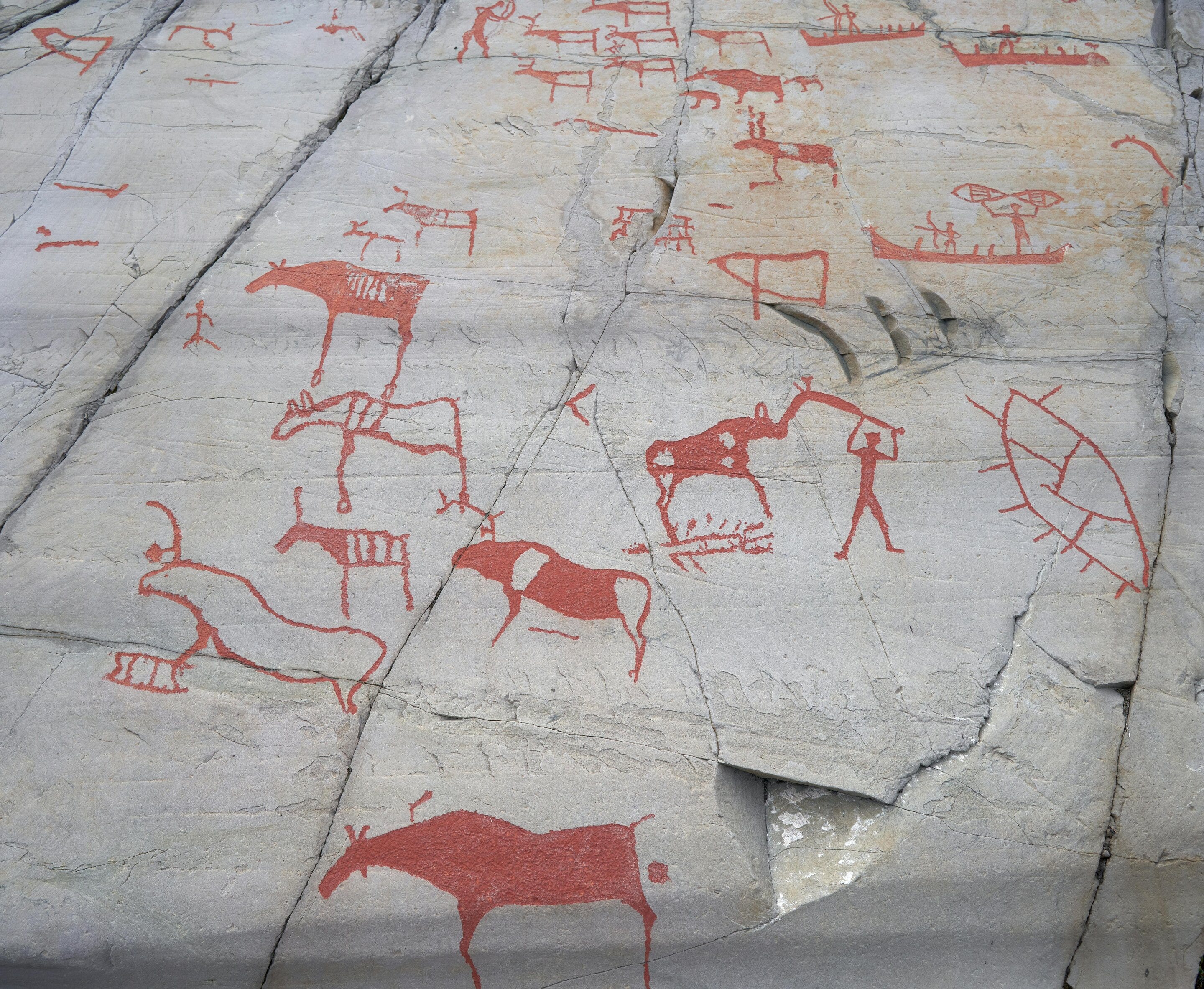 Rethinking the Dawn of Agriculture: Human Agency in the Neolithic Transition episode artwork