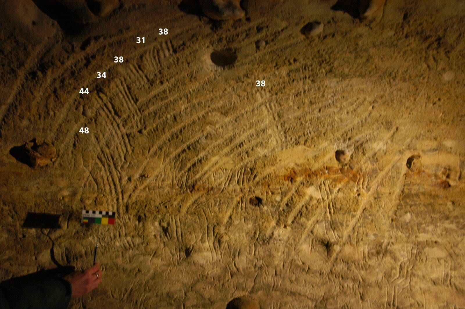 Children's Role in Upper Paleolithic Cave Art episode artwork