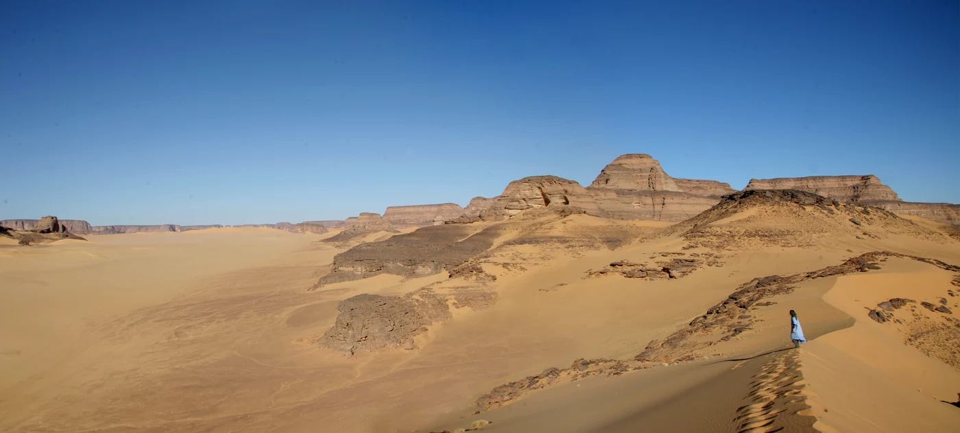 Ancient DNA from the Green Sahara Reveals a Lost North African Lineage episode artwork