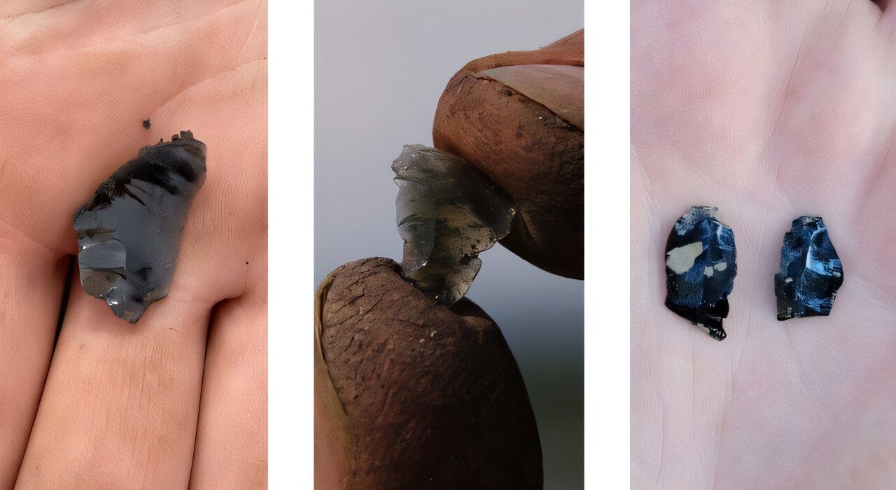 Tracing Ancient Networks: The Journey of Obsidian Artifacts into Alberta's Archaeological Record episode artwork