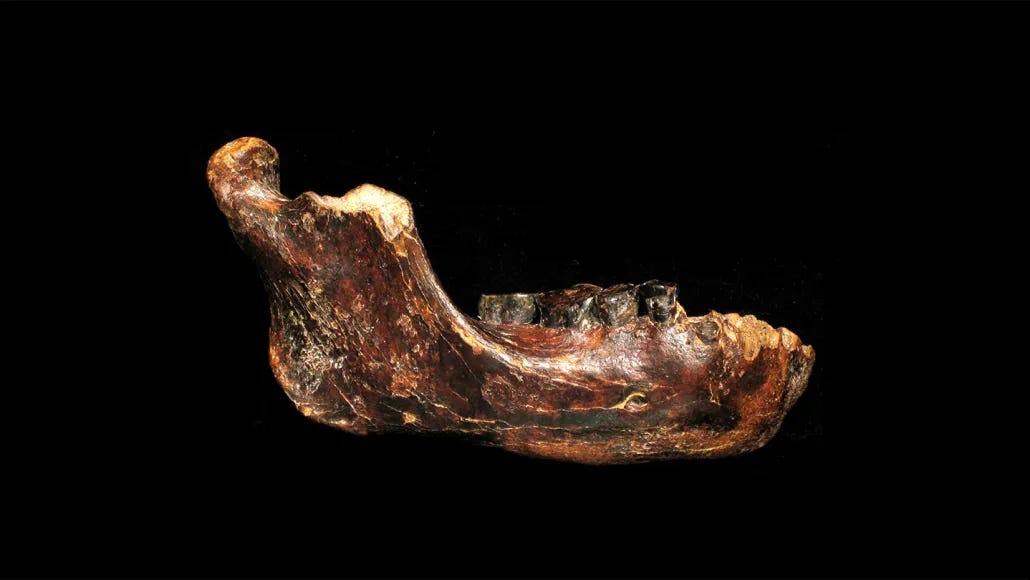 The Ocean Floor Jawbone That’s Redrawing Denisovan History episode artwork