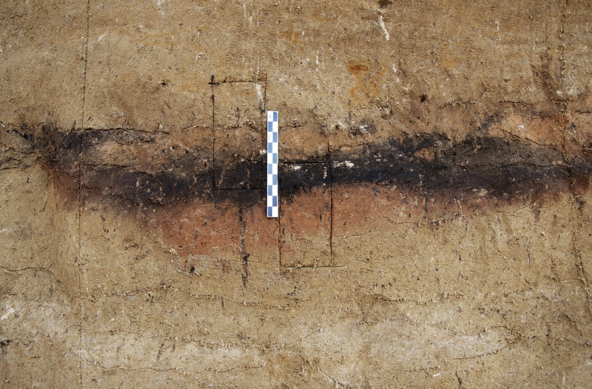 Fire in the Cold: The Hidden Pyrotechnics of Ice Age Foragers episode artwork