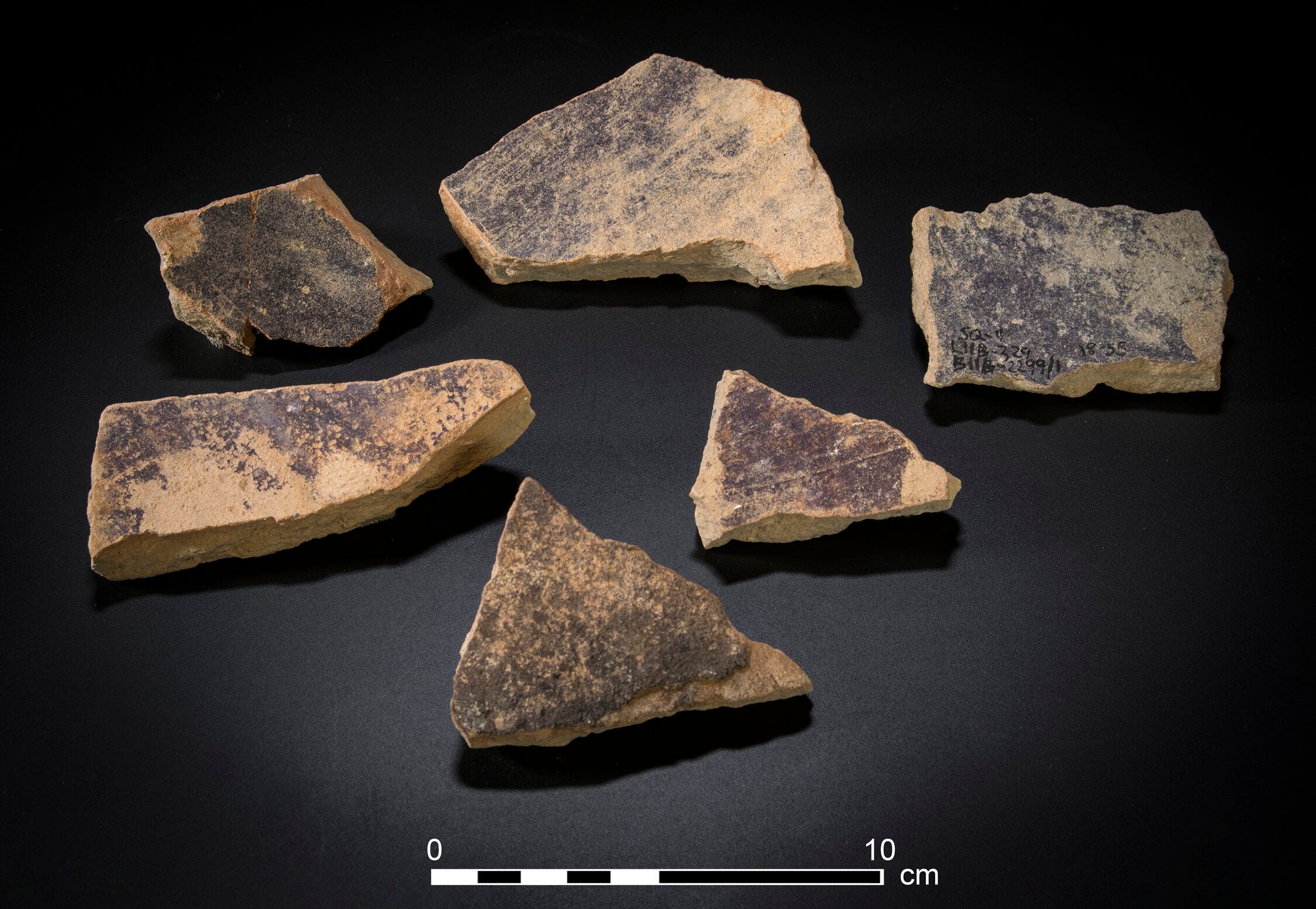 Empire in a Shell: How Iron Age Craftspeople on the Carmel Coast Turned Snails into Royal Power episode artwork