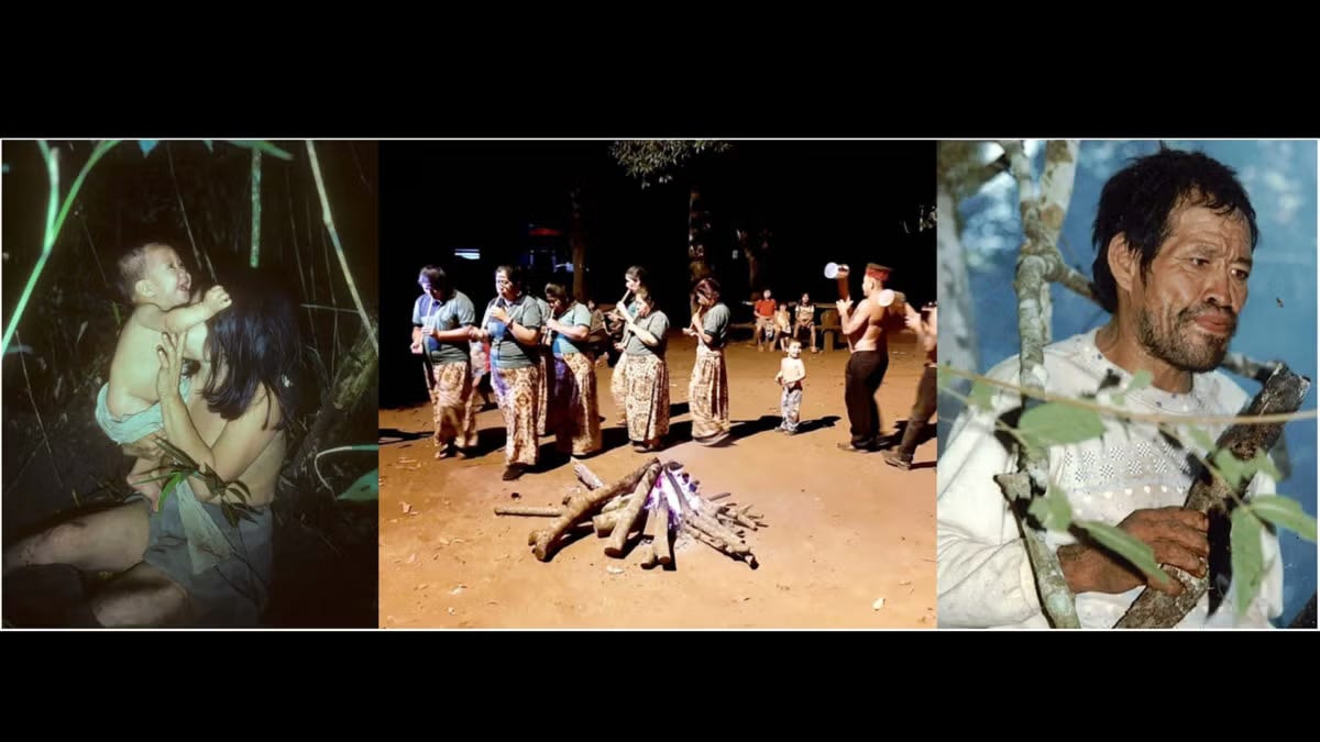 When the Music Stops: What the Absence of Lullabies and Dance Among the Aché Tells Us About Human Culture episode artwork