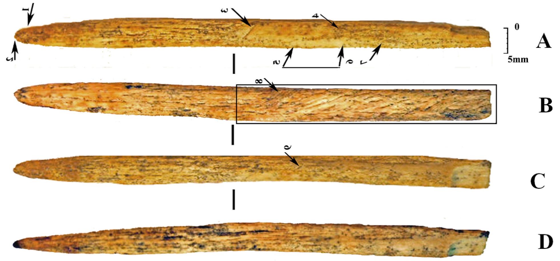 Neanderthal Engineers of the Ice Age: A Bone Spear Point from Mezmaiskaya Cave Challenges the Narrative episode artwork