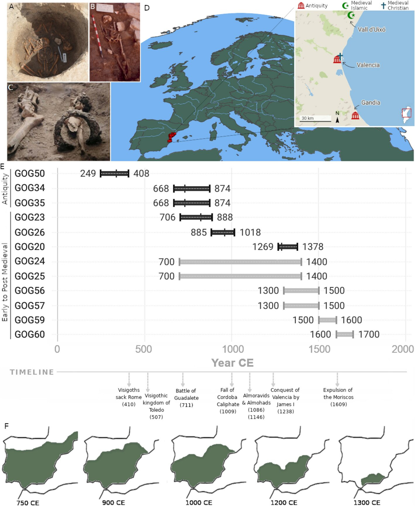 Cemeteries of Disappearance: How Genomics Exposed a Forgotten Ethnic Cleansing in Spain episode artwork