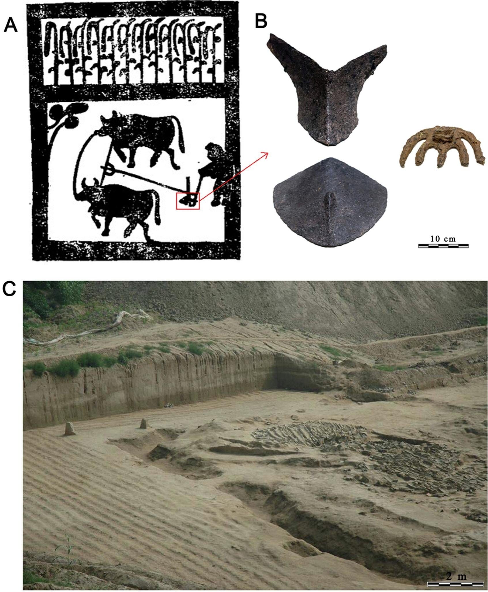 Crops, Climate, and Empire: How Ancient Farmers Sustained the Han Dynasty episode artwork