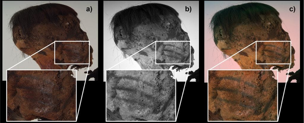 Ancient Ink: A South American Mummy's Silent Marks episode artwork