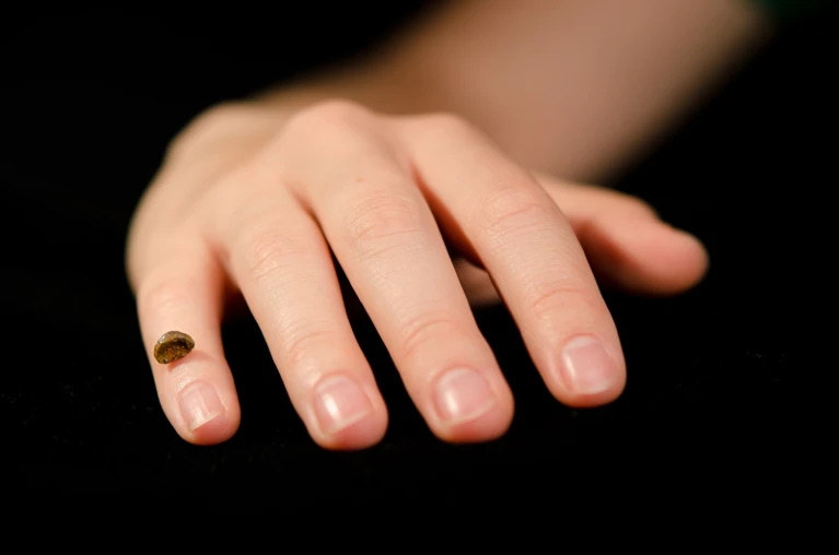 The Finger Bone That Changed Everything episode artwork