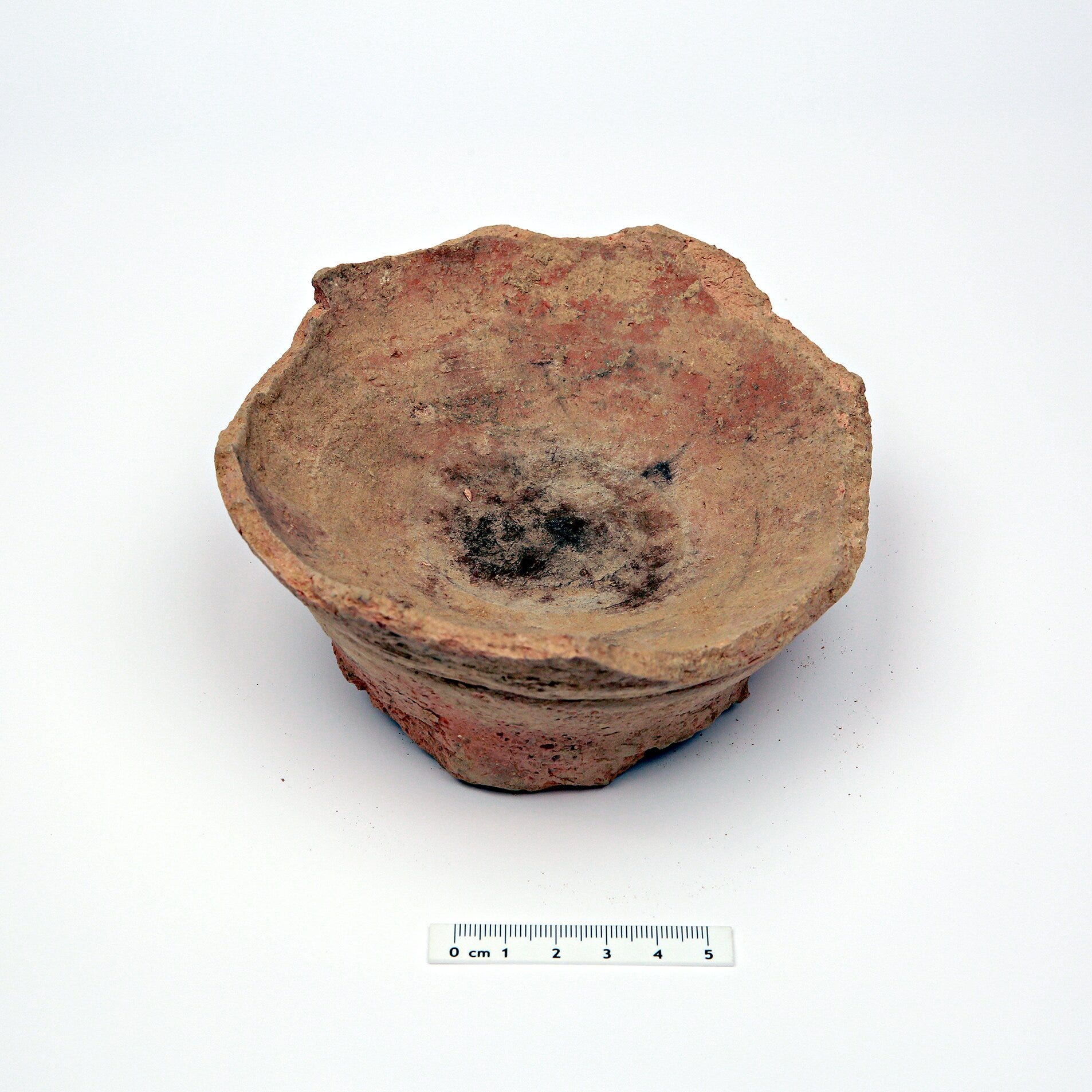 Smoke and Memory: How Iron Age Arabia Burned Plants to Heal and Cleanse episode artwork
