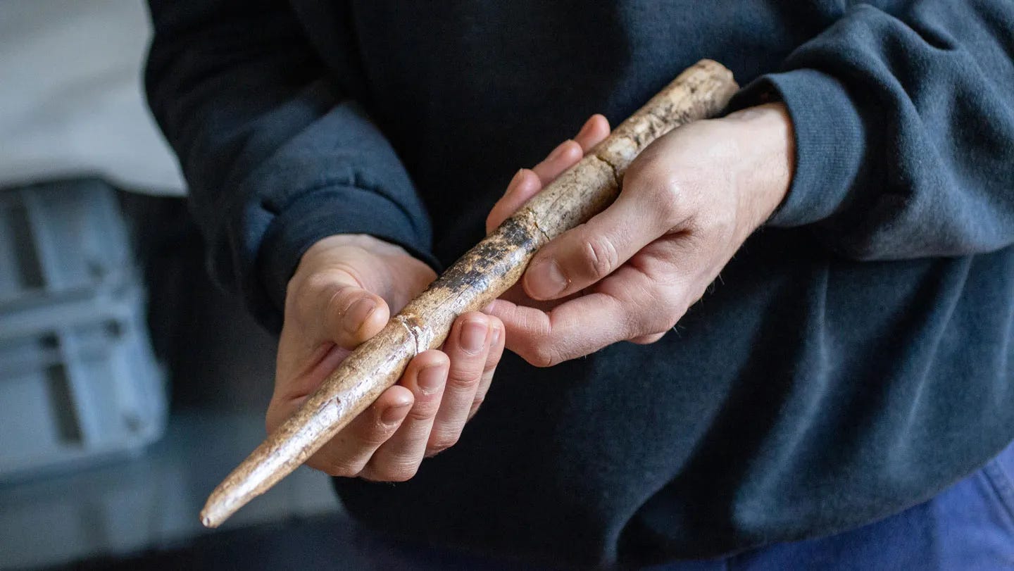 Ghosts of the Surf: Whale Bone Tools and the Deep History of Human–Sea Connections episode artwork