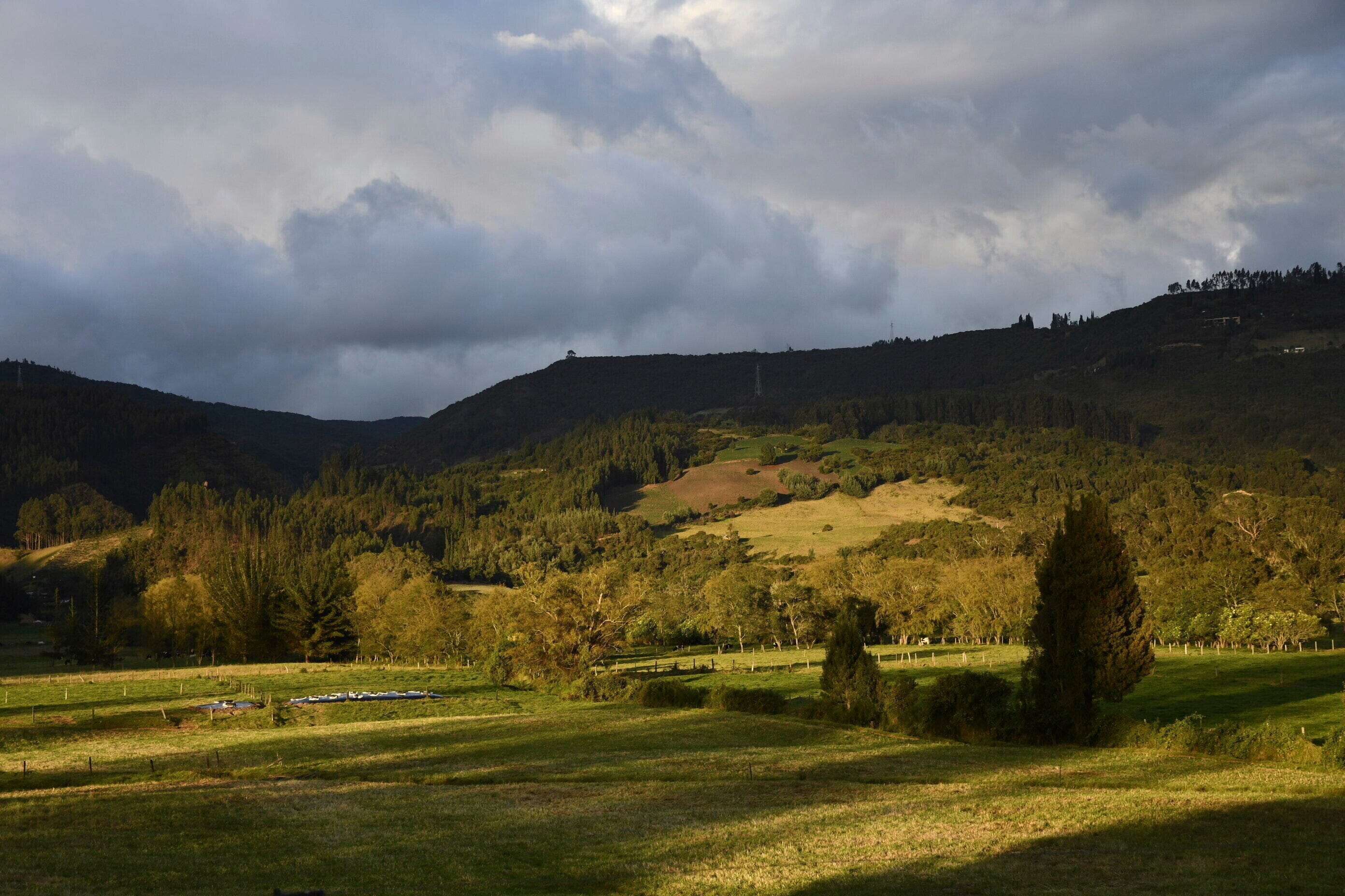 Ghosts in the Andes: The Rise, Replacement, and Resilience of Ancient Colombian Genomes episode artwork