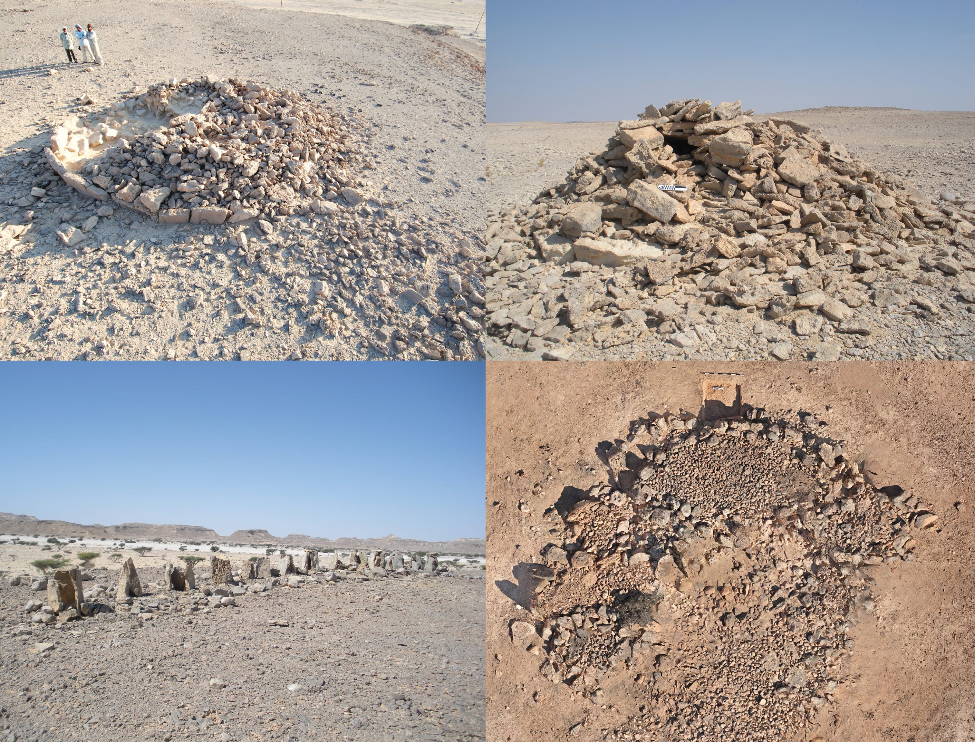 Touchstones in the Desert: How Monuments Helped Ancient Arabians Adapt to Climate Change episode artwork