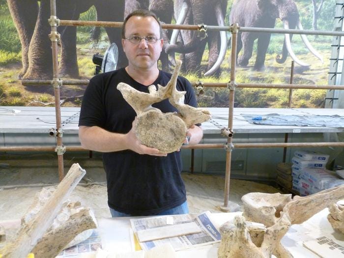How Early Humans Used Flame to Guard and Preserve Big Game episode artwork