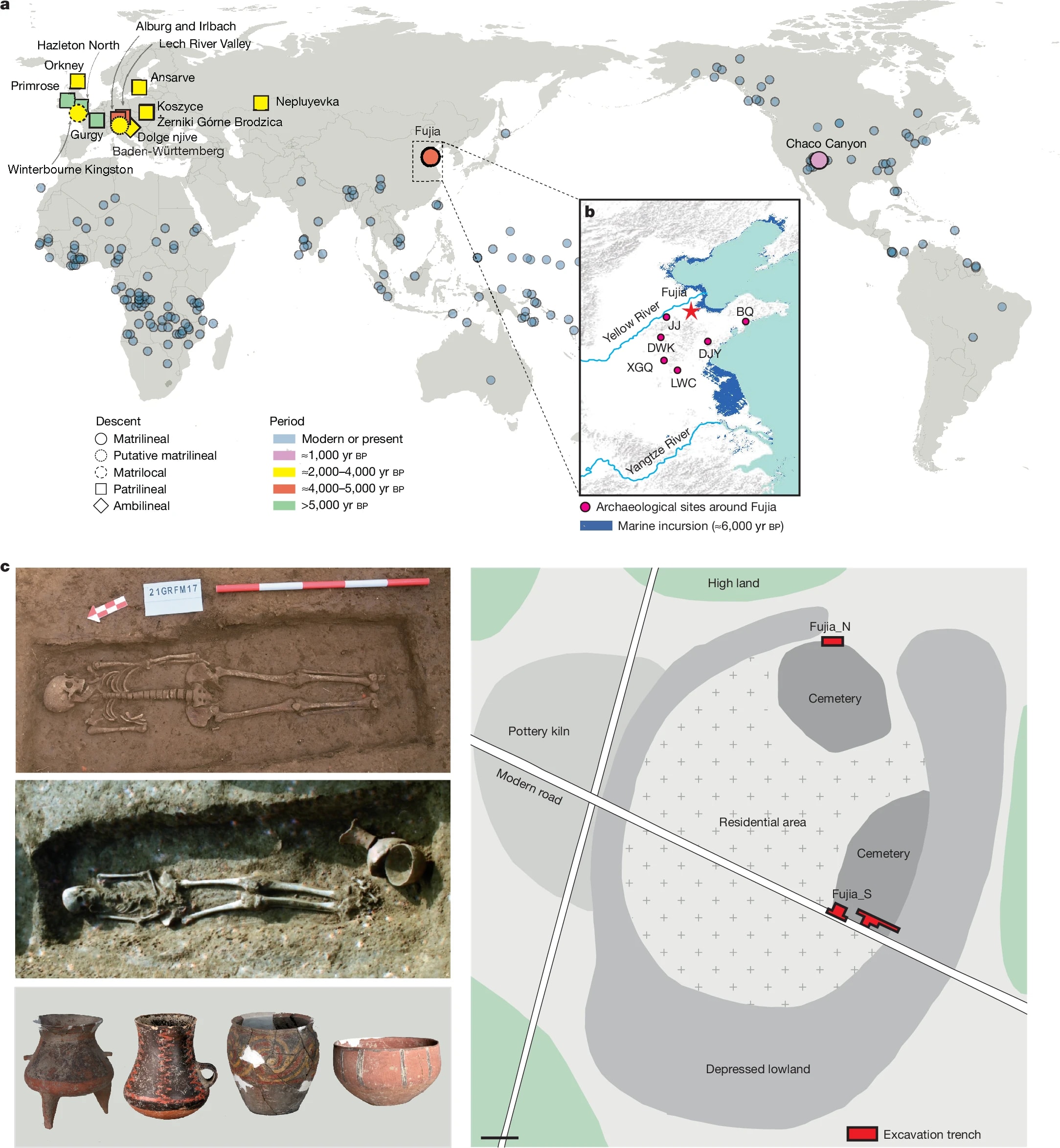 How a Neolithic Chinese Village Lived by Maternal Descent episode artwork