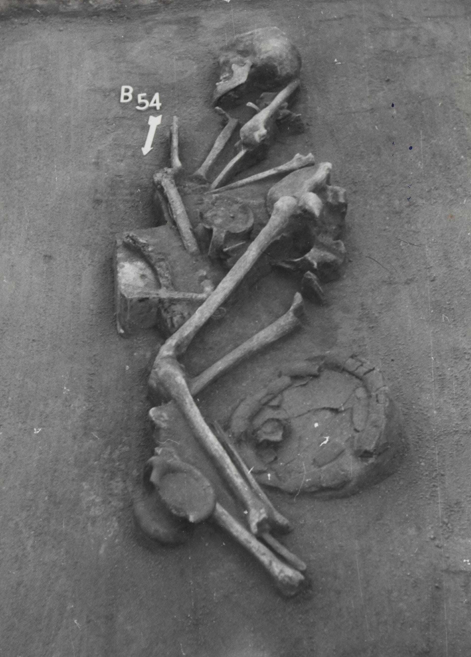 What Isotopes Reveal About Bronze Age Lives in the Carpathian Basin episode artwork