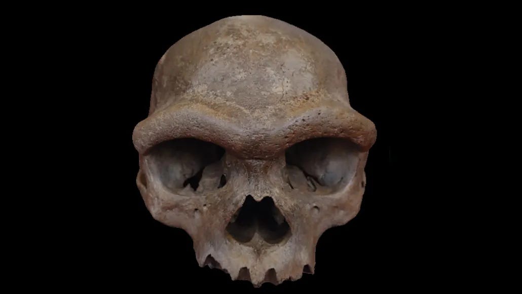 Dragon Man Unmasked: How a Century-Old Skull Rewrites Denisovan History episode artwork