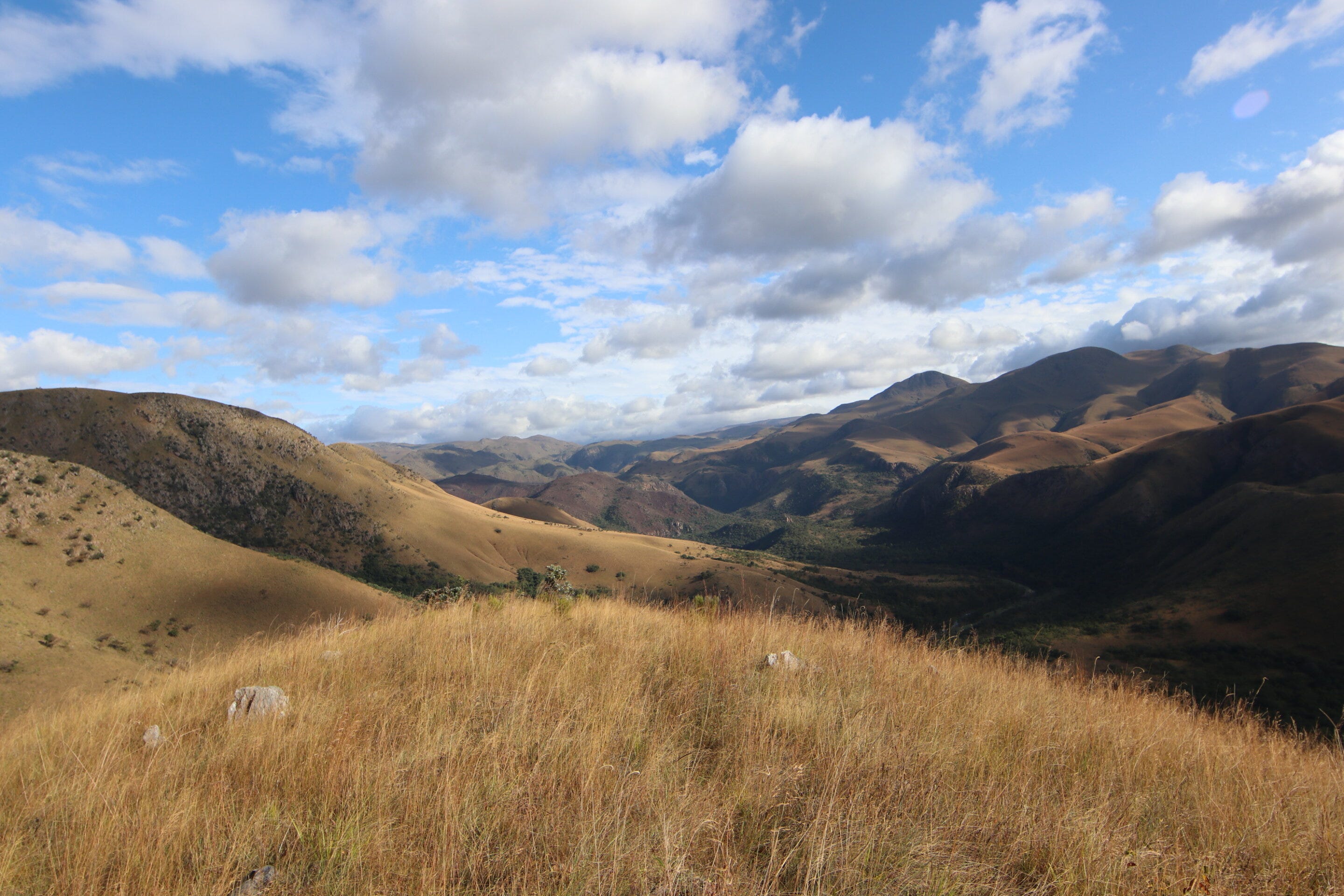 Red Stones and Green Routes: How Stone Age Foragers Navigated Beauty, Utility, and Distance in Eswatini episode artwork