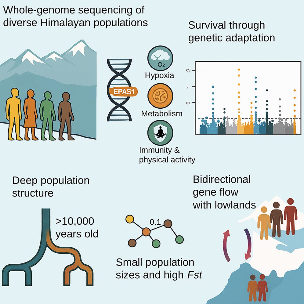 What Genomes Reveal About Ancient Life in the Himalayas episode artwork