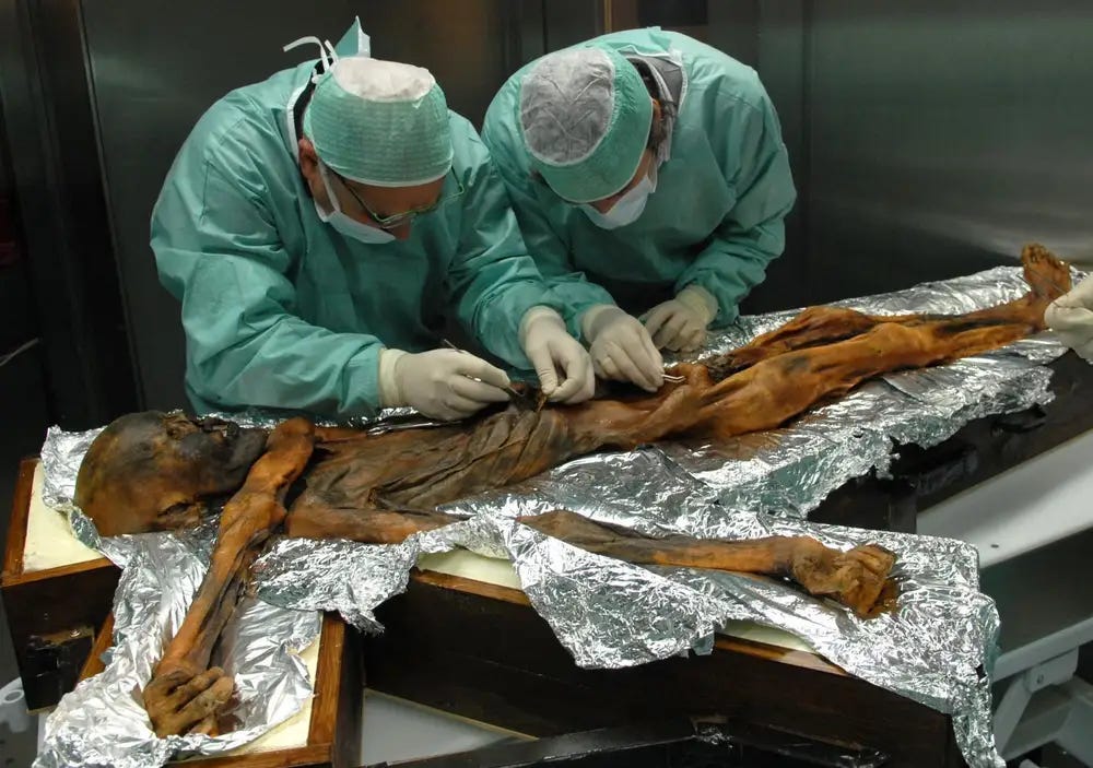 Ötzi’s Mountain Neighbors: What Ancient DNA Reveals About Alpine Lives and Kinship episode artwork