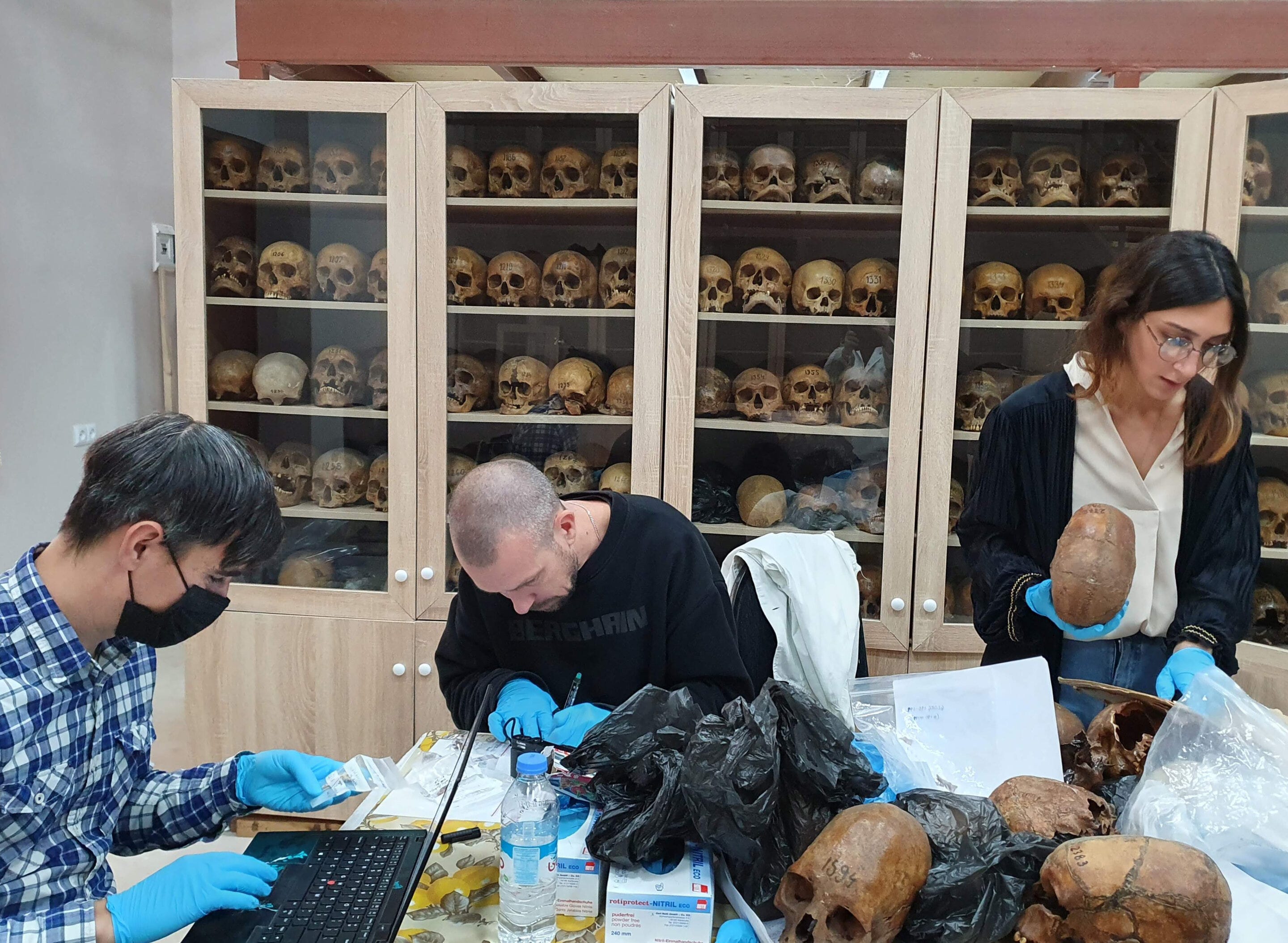 Five Millennia in the Mountains: How the Southern Caucasus Held Its Genetic Ground episode artwork