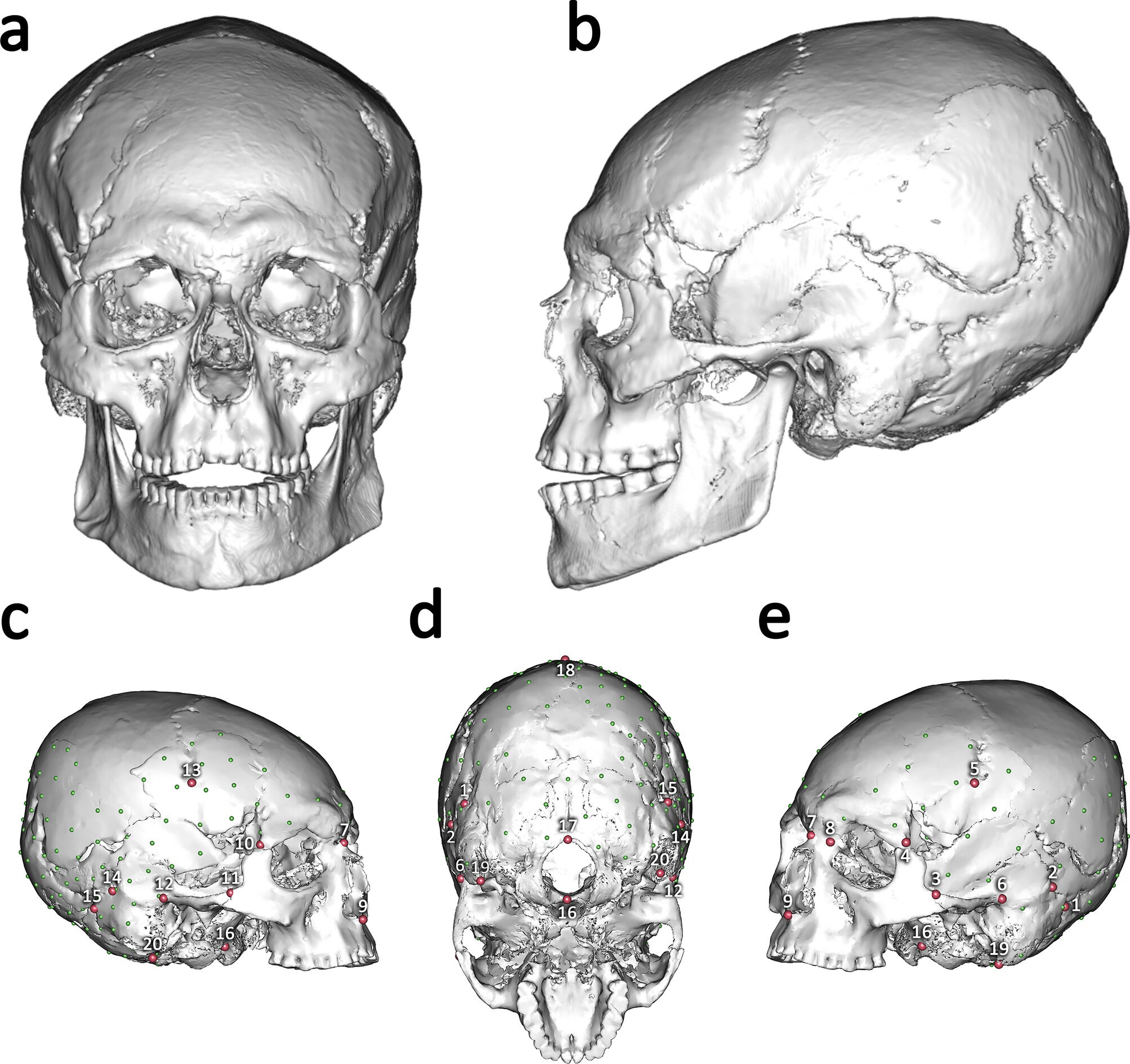 Shaping Identity in the Late Ice Age: Europe’s Oldest Modified Skull episode artwork