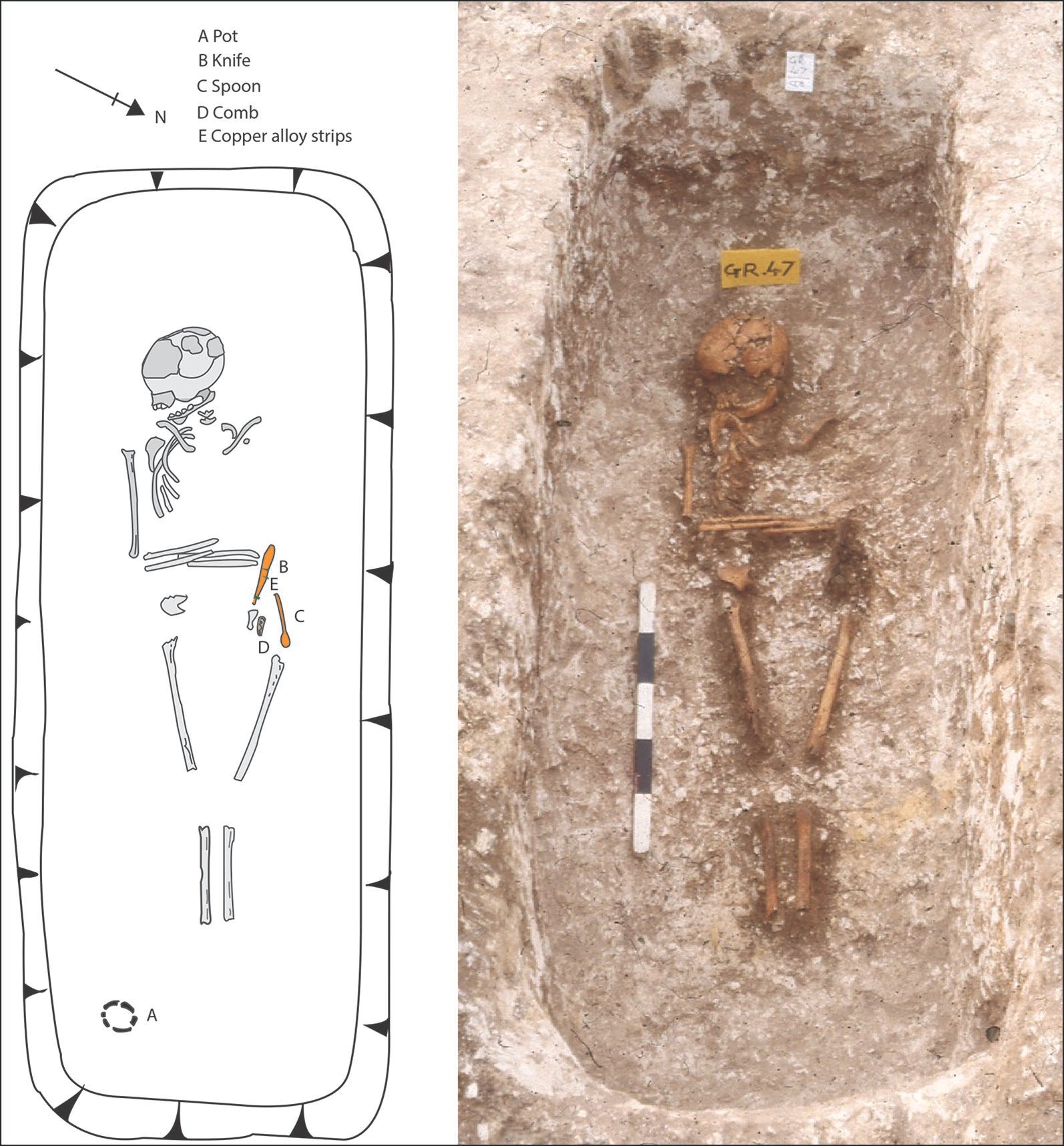 The Unexpected Footprints of History: West African Roots in Early Medieval England episode artwork