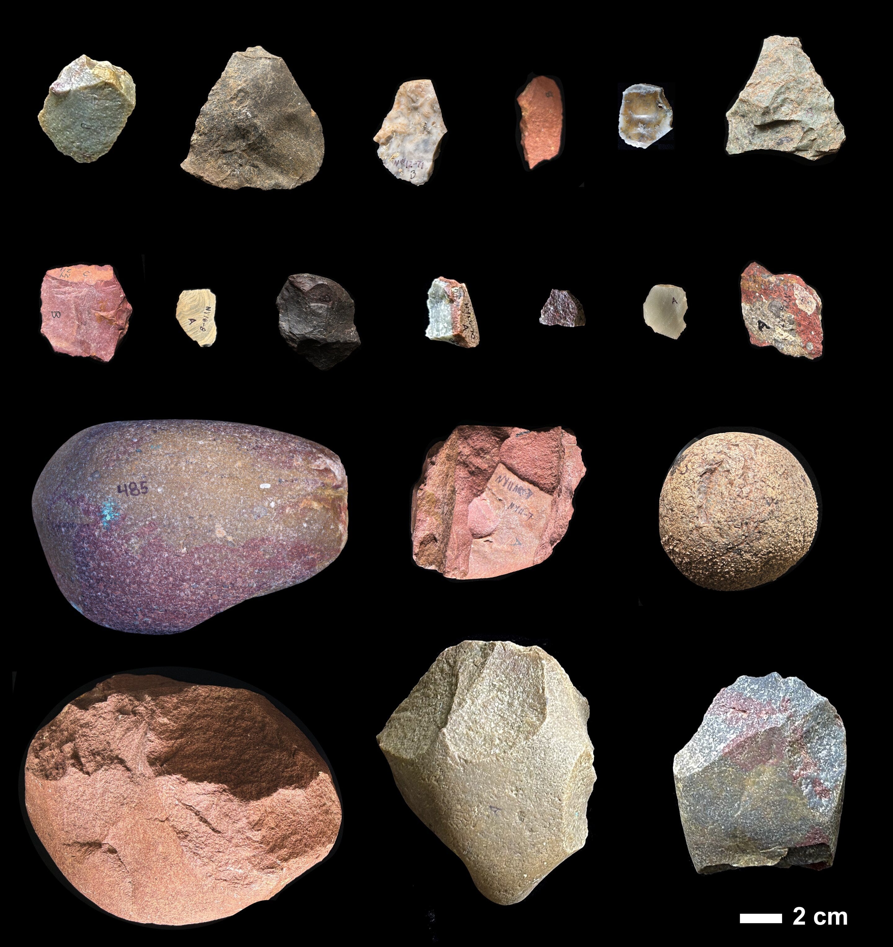 Stones Across the Savanna: Early Hominins and the First Long-Distance Tool Transport episode artwork