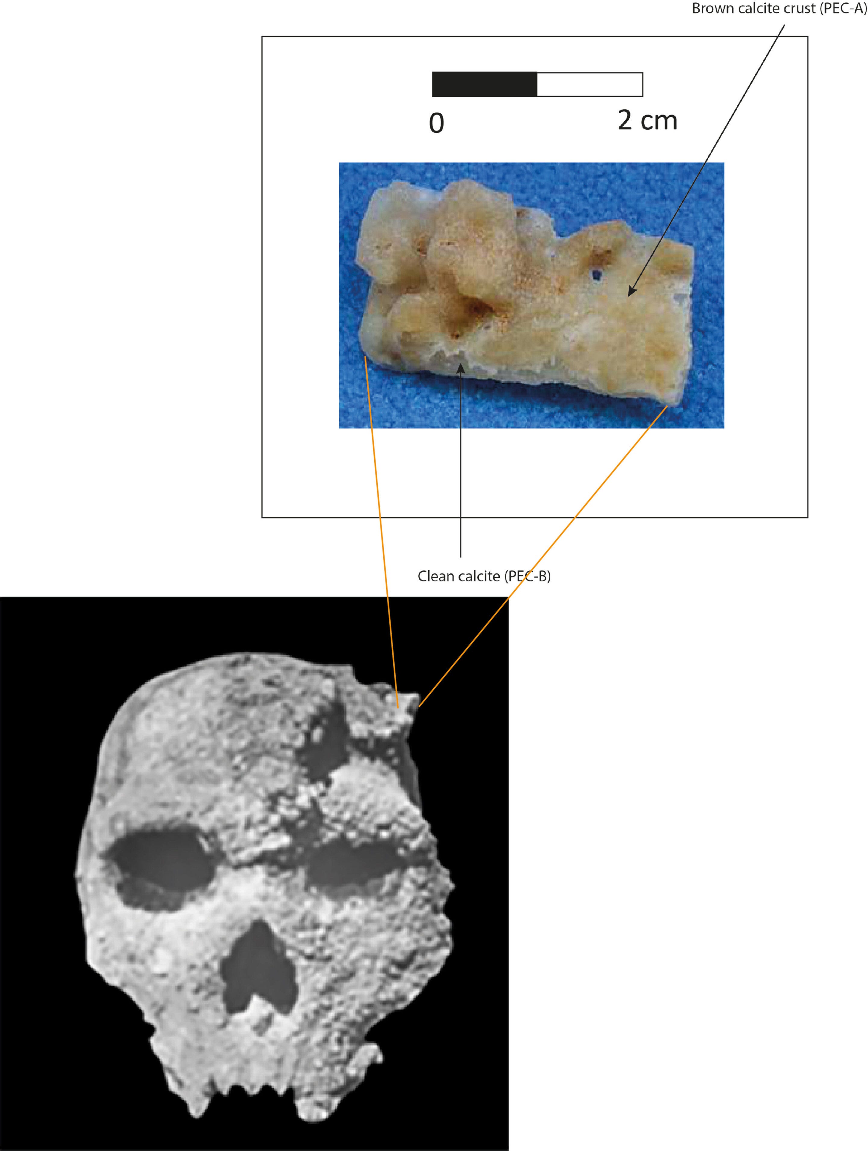 The Petralona Skull and the Long Puzzle of Europe’s Early Humans episode artwork