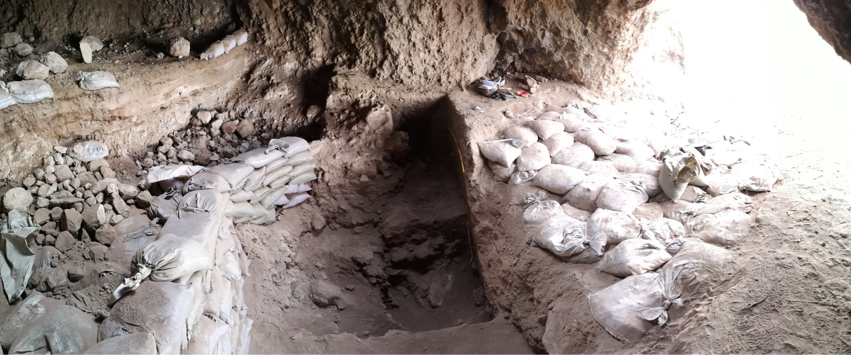 Beyond the Fertile Crescent: Barley, Foragers, and the Forgotten Story of Central Asia episode artwork