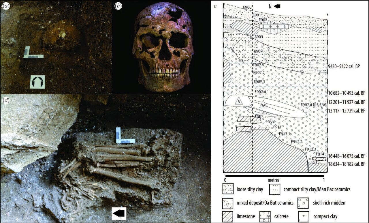 An Ancient Arrow and a Fatal Infection: Violence at the End of the Ice Age in Southeast Asia episode artwork