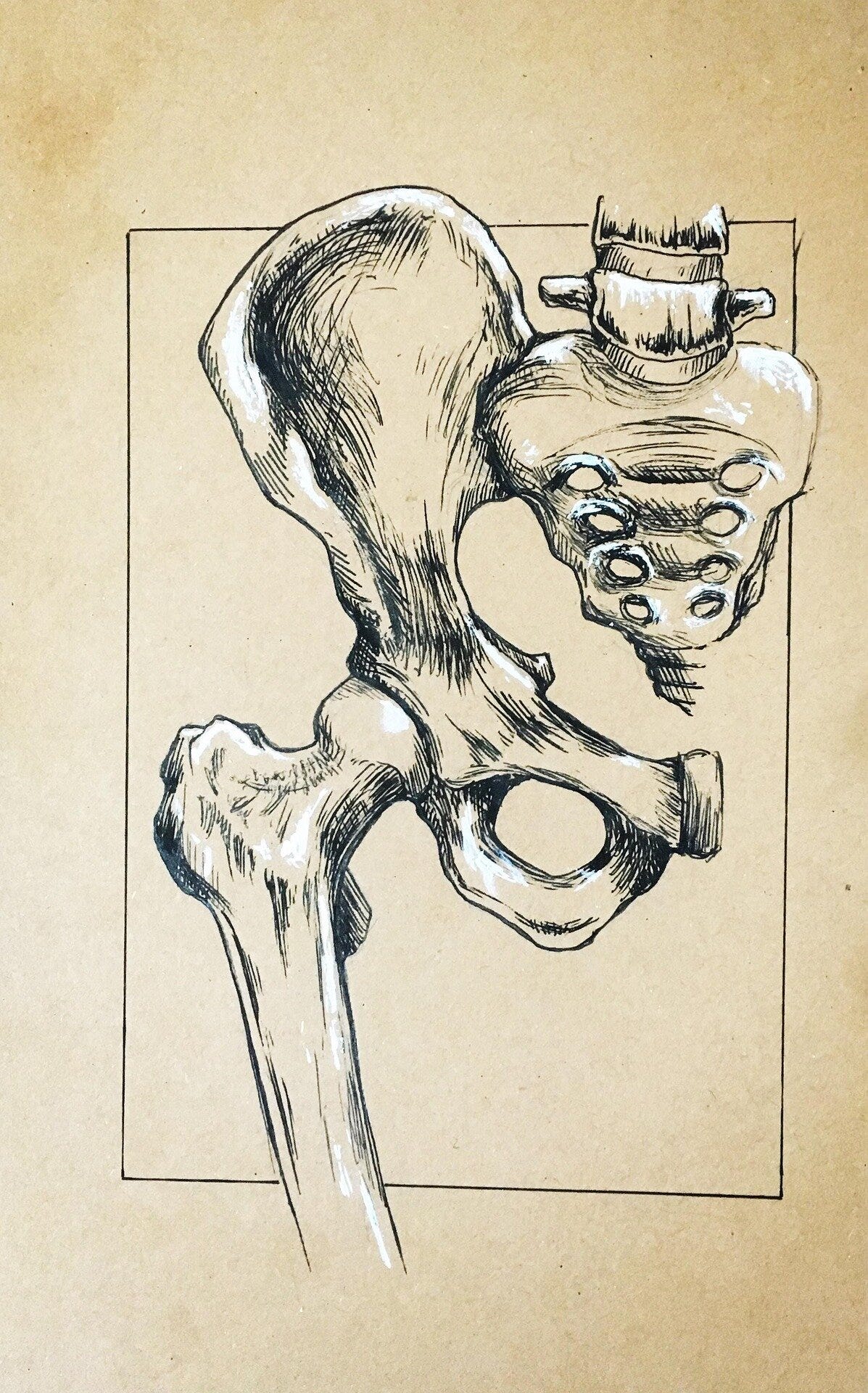 Two Genetic Leaps That Set Us Walking episode artwork