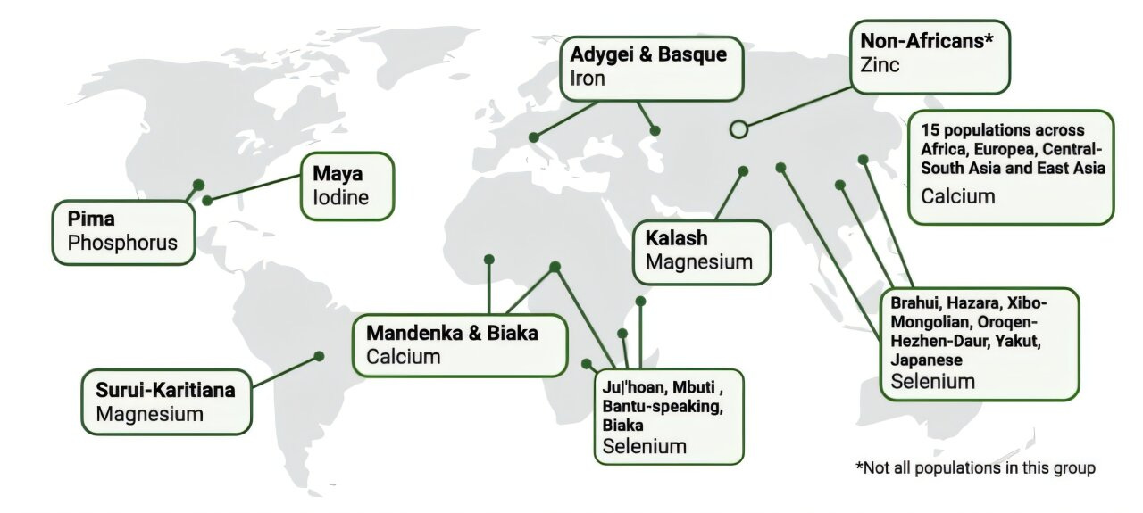 The Hidden Nutrient Map Inside Our DNA episode artwork