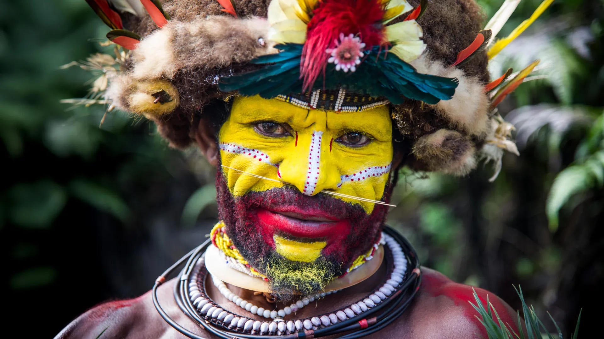Islands at the Edge of Time: How Papua New Guineans Carry One of Humanity’s Oldest Genetic Stories episode artwork