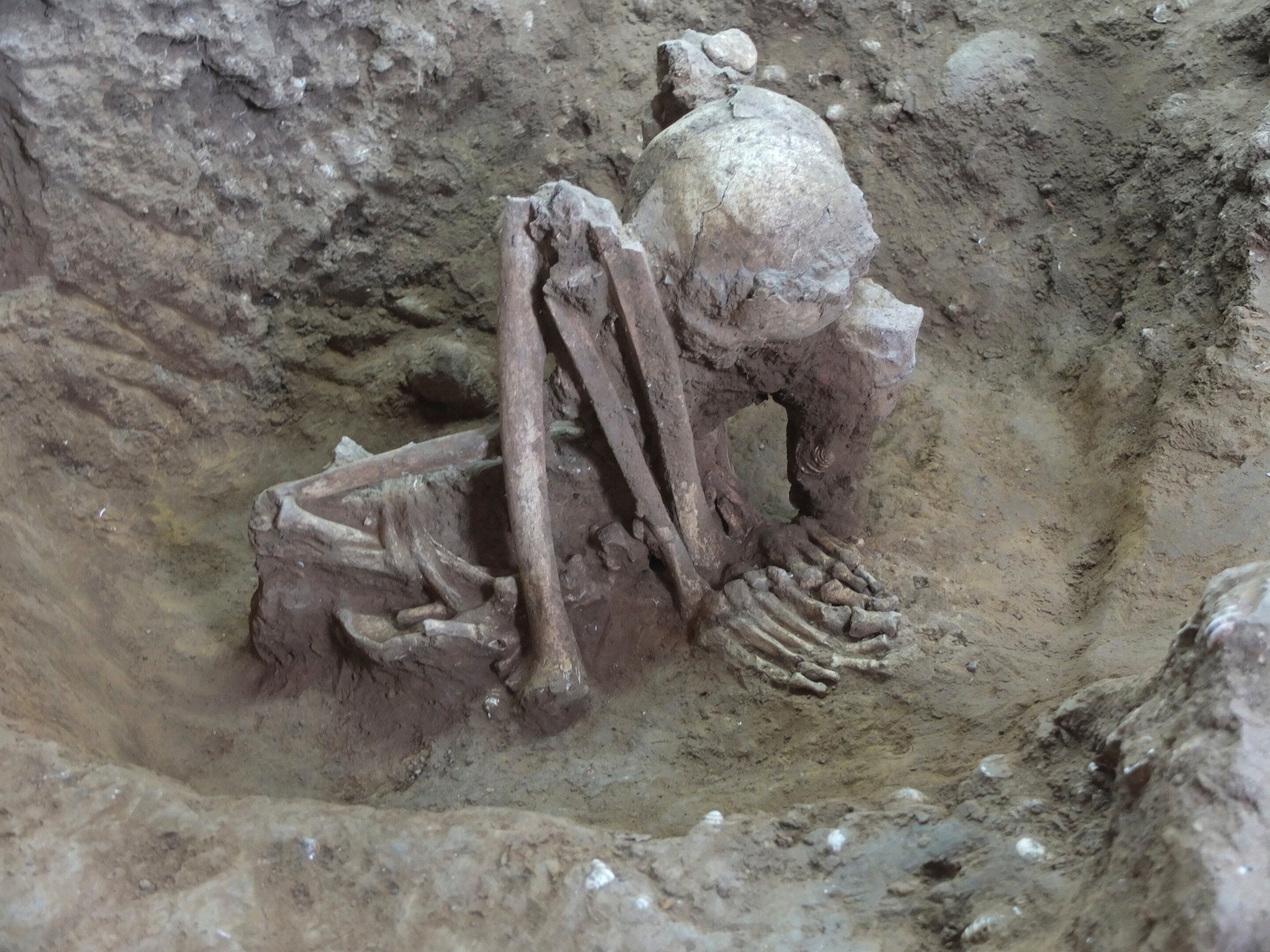 Before Egypt: The 12,000-Year History of Smoke-Dried Mummification in Southeast Asia episode artwork