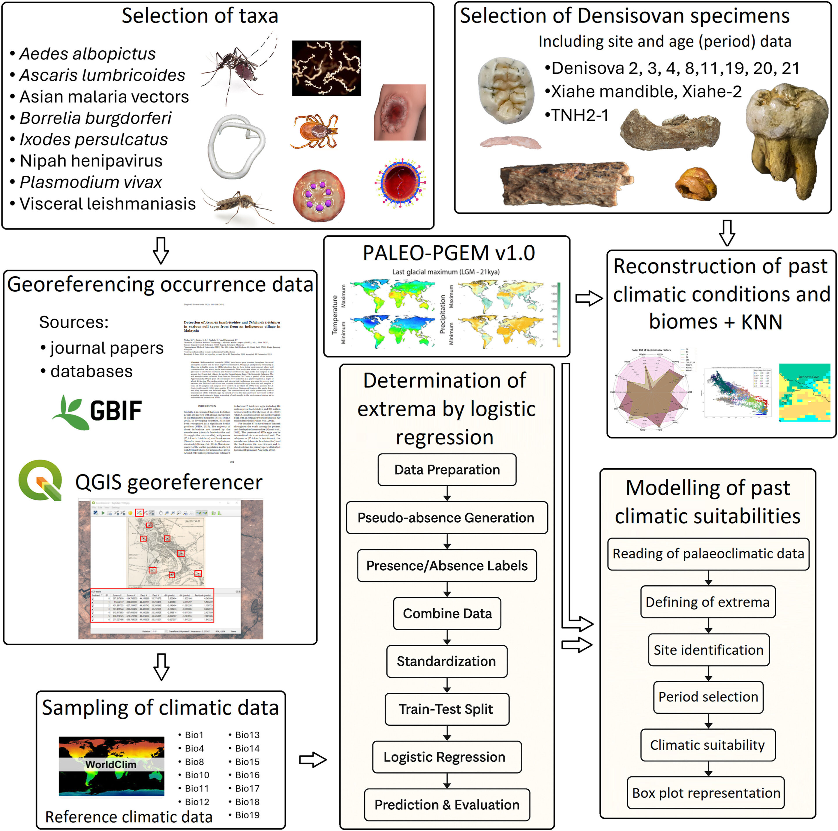 Denisovan Genes and the Ancient Geography of Disease episode artwork