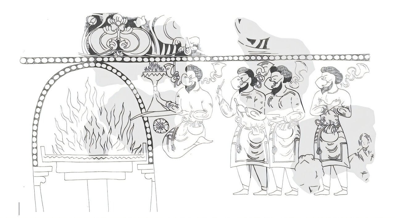 Evolutionary Insights by Anthropology.net